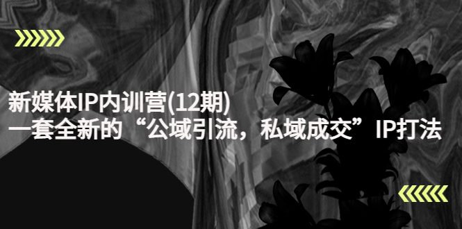 新媒体IP内训营(12期)，一套全新的“公域引流，私域成交”IP打法，直接带走-甬战资源库