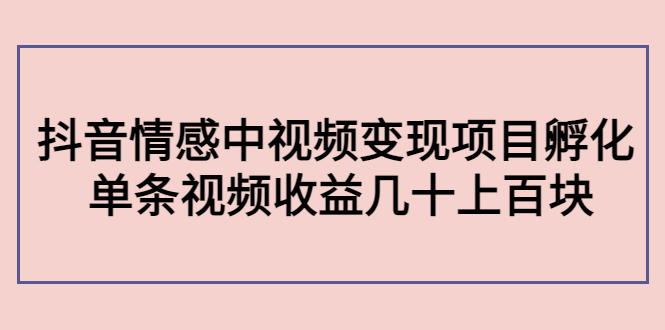 副业孵化营第5期：抖音情感中视频变现项目孵化 单条视频收益几十上百-甬战资源库