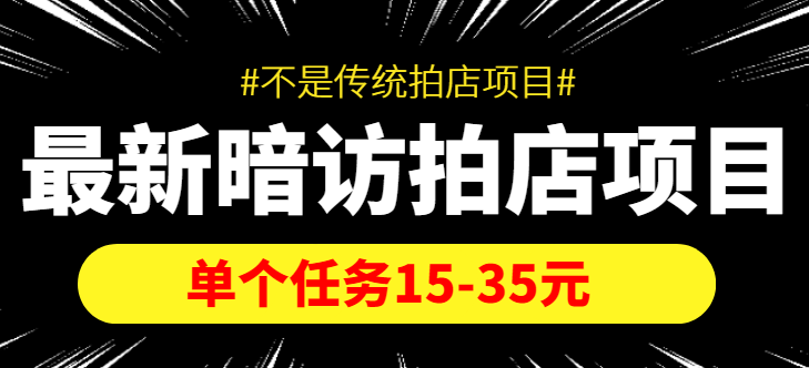 最新暗访拍店信息差项目，单个任务15-35元（不是传统拍店项目）-甬战资源库