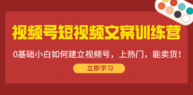 视频号短视频文案训练营：0基础小白如何建立视频号，上热门，能卖货！-甬战资源库