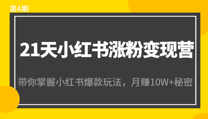 21天小红书涨粉变现营（第4期）：带你掌握小红书爆款玩法，月赚10W+秘密-甬战资源库