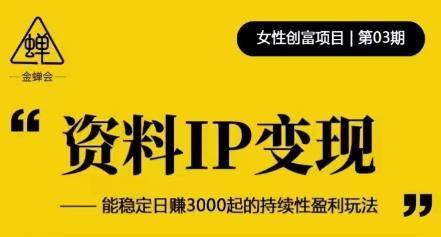 资料IP变现，能稳定日赚3000起的持续性盈利玩法-甬战资源库