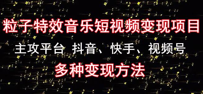 黄岛主《粒子特效音乐短视频变现项目》主攻平台抖音、快手、视频号多种变现方法-甬战资源库