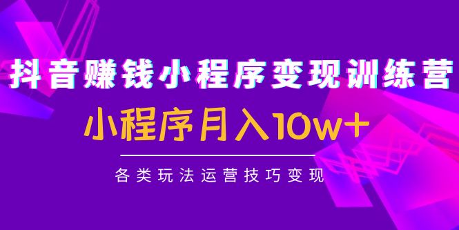 抖音赚钱小程序变现训练营：小程序月入10w+各类玩法运营技巧变现-甬战资源库