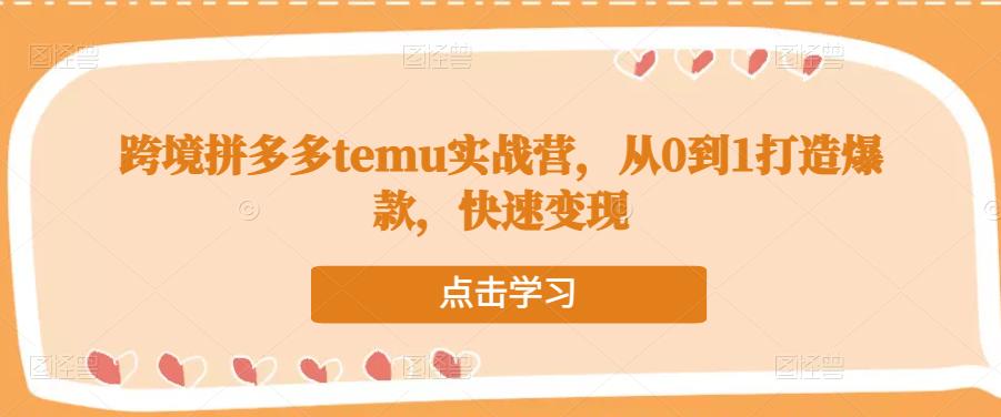跨境拼多多temu实战营，从0到1打造爆款，快速变现-甬战资源库