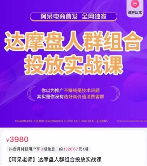 阿呆电商·达摩盘人群组合投放实战课，你以为推广不赚钱是技术问题，其实是你没有选好高价值消费客群-甬战资源库