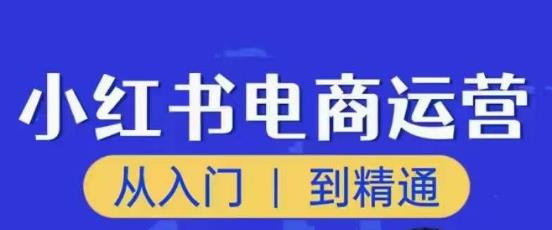 顽石小红书电商高阶运营课程，从入门到精通，玩法流程持续更新-甬战资源库