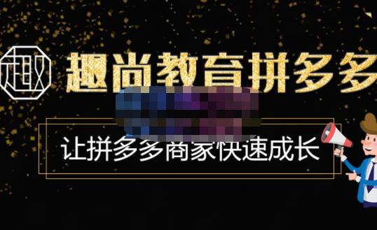 趣尚教育·拼多多运营实操VIP特训营，让拼多多商家快速成长-价值3180元-甬战资源库