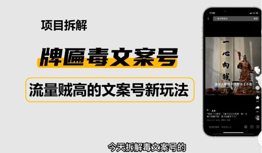 2023抖音快手毒文案新玩法，牌匾文案号，起号快易变现-甬战资源库