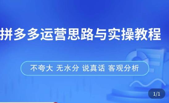 拼多多店铺运营思路与实操教程，快速学会拼多多开店和运营，少踩坑，多盈利-甬战资源库