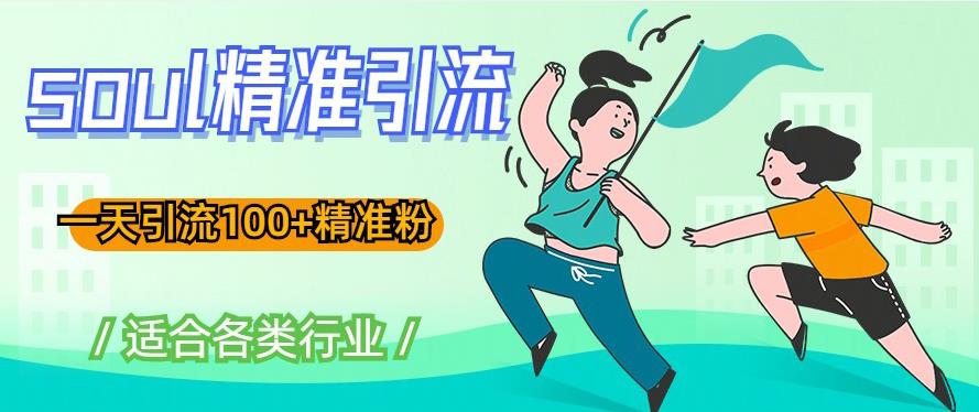 soul精准引流系列课程，一天引流100+精准粉，适合各类行业-甬战资源库