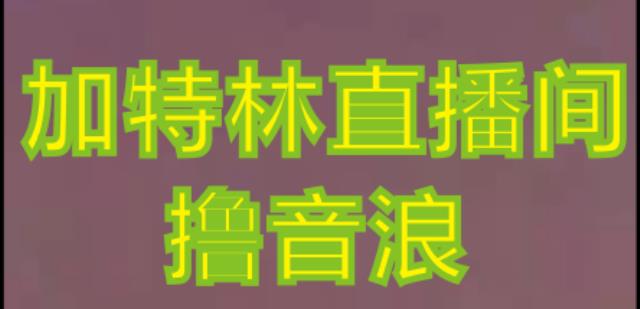抖音加特林直播间搭建技术，抖音0粉开播，暴力撸音浪，2023新口子，每天800+【素材+详细教程】-甬战资源库