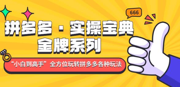 拼多多·实操宝典：金牌系列“小白到高手”带你全方位玩转拼多多各种玩法-甬战资源库