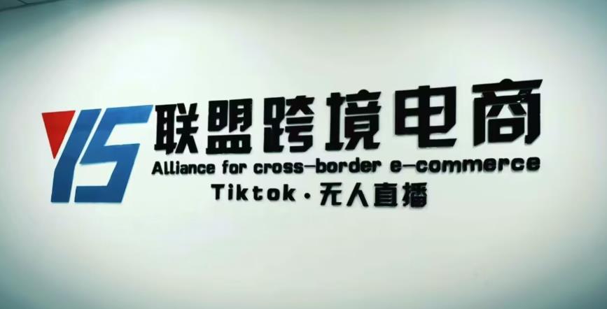 YS联盟·Tiktok无人直播，不出镜不剪辑不拍摄不发货无售后的跨境短视频躺赚玩法-甬战资源库