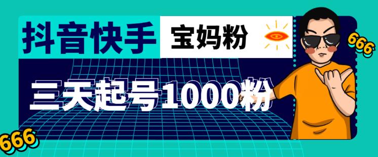 抖音快手三天起号涨粉1000宝妈粉丝的核心方法【详细玩法教程】-甬战资源库