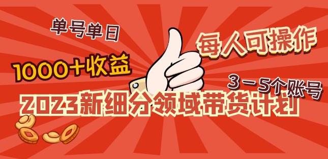 2023新细分领域带货计划：单号单日1000+收益不难，每人可操作3-5个账号-甬战资源库