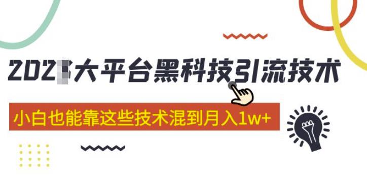 大平台黑科技引流技术，小白也能靠这些技术混到月入1w+(2022年的课程）-甬战资源库