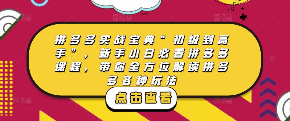 拼多多实战宝典“初级到高手”，新手小白必看拼多多课程，带你全方位解读拼多多各种玩法-甬战资源库