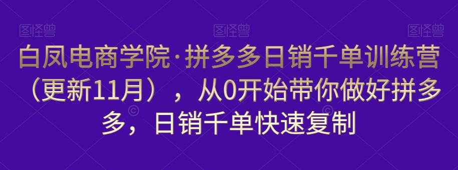 白凤电商学院·拼多多日销千单训练营，从0开始带你做好拼多多，日销千单快速复制（更新知2023年3月）-甬战资源库