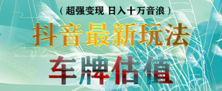 抖音最新无人直播变现直播车牌估值玩法项目，轻松日赚几百+【详细玩法教程】-甬战资源库