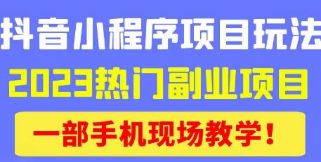 抖音小程序9.0新技巧，2023热门副业项目，动动手指轻松变现-甬战资源库