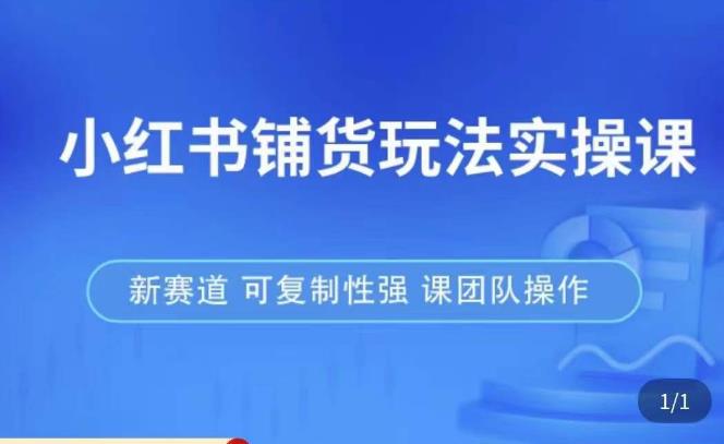 小红书铺货玩法实操课，流量大，竞争小，非常好做，新赛道，可复制性强，可团队操作-甬战资源库