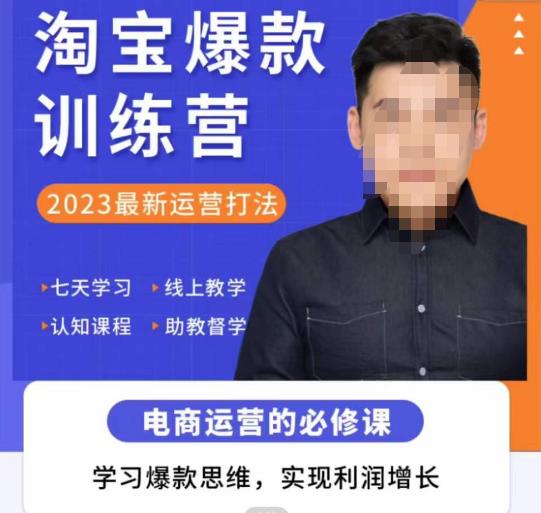 爱上黄昏·淘宝爆款训练营，2023最新运营打法，学习爆款思维，实现利润增长-甬战资源库