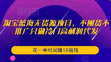 淘宝蓝海无货源项目，不囤货不推广只做冷门高利润代发，花一半时间赚10倍钱-甬战资源库