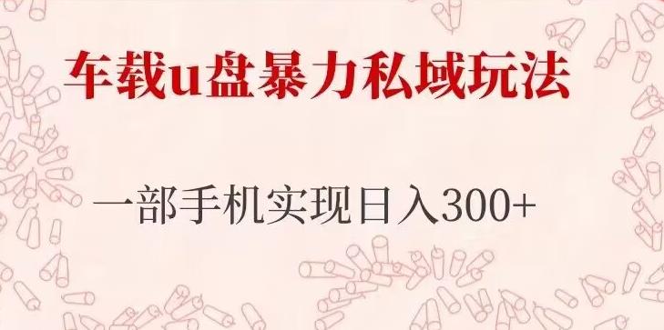 车载u盘暴力私域玩法，长期项目，仅需一部手机实现日入300+-甬战资源库