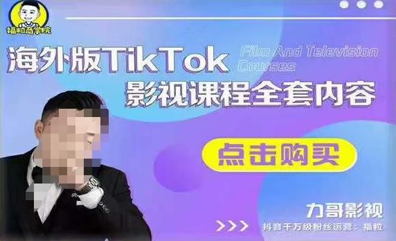 海外TikTok影视课程全套，从搭建渠道，到如何正确使用账号，到未来的变现渠道等-甬战资源库
