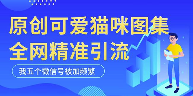 黑科技纯原创可爱猫咪图片，全网精准引流，实操5个VX号被加频繁-甬战资源库