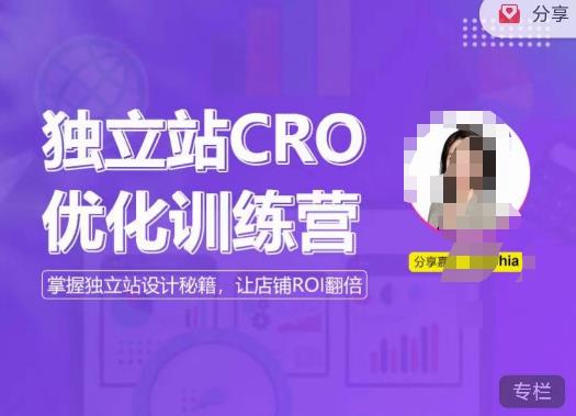 独立站CRO优化训练营，掌握独立站设计秘籍，打造高转化的独立站，让店铺ROI翻倍-甬战资源库