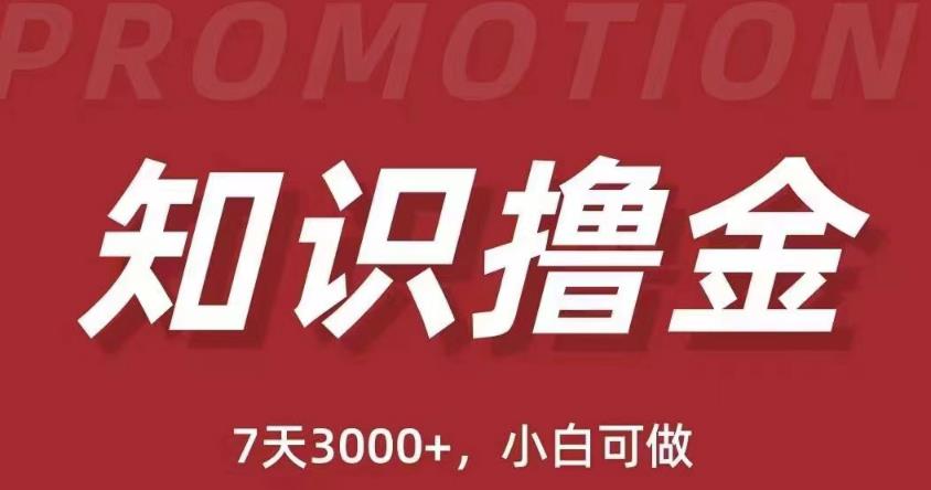 抖音知识撸金项目：简单粗暴日入1000+执行力强当天见收益(教程+资料)-甬战资源库