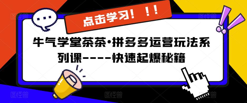 牛气学堂茶茶•拼多多运营玩法系列课—-快速起爆秘籍【更新】-甬战资源库