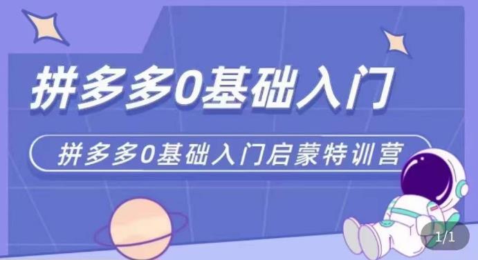 拼多多运营0-1实操特训营，拼多多0基础入门，从基础到进阶的可实操玩法-甬战资源库