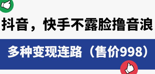 抖音快手不露脸撸音浪项目，多种变现连路（售价998）-甬战资源库