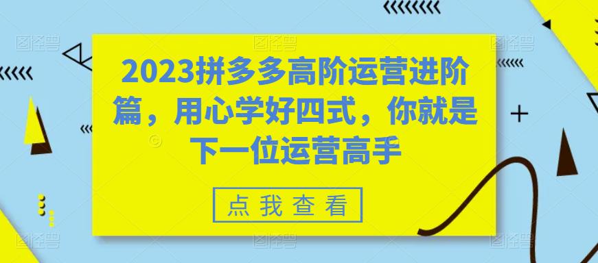 2023拼多多高阶运营进阶篇，用心学好四式，你就是下一位运营高手-甬战资源库
