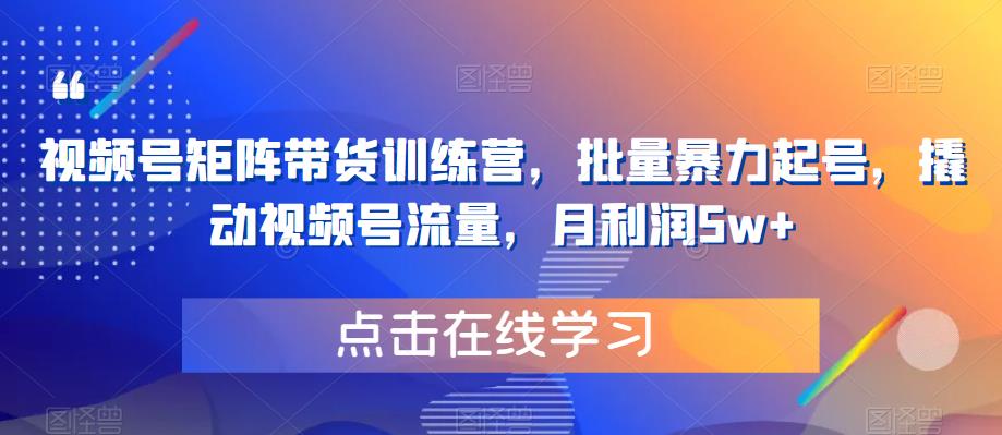 视频号矩阵带货训练营，批量暴力起号，撬动视频号流量，月利润5w+-甬战资源库