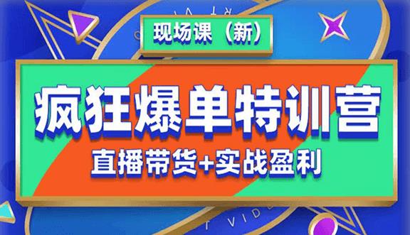 抖音短视频疯狂爆单特训营现场课（新）直播带货+实战案例-甬战资源库