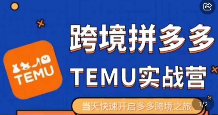 大鹏出海·拼多多跨境temu运营指导，开店注册+选品+核价上架，日出千单实战课-甬战资源库