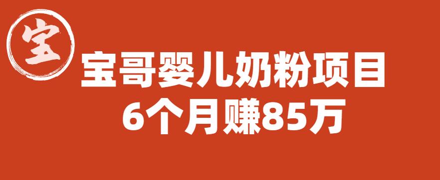 宝哥婴儿奶粉项目，6个月赚85w【图文非视频】【揭秘】-甬战资源库