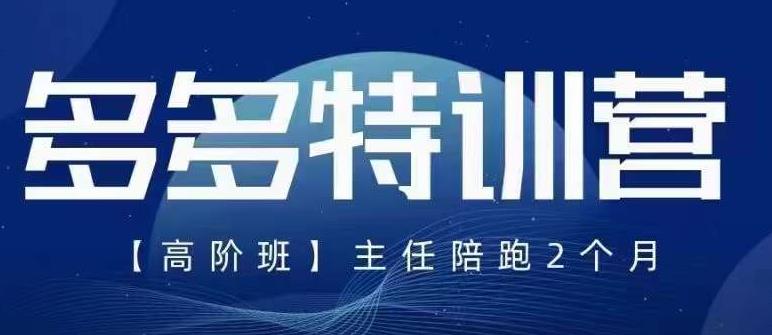 纪主任·5月最新多多特训营高阶班，玩法落地实操，多多全掌握-甬战资源库