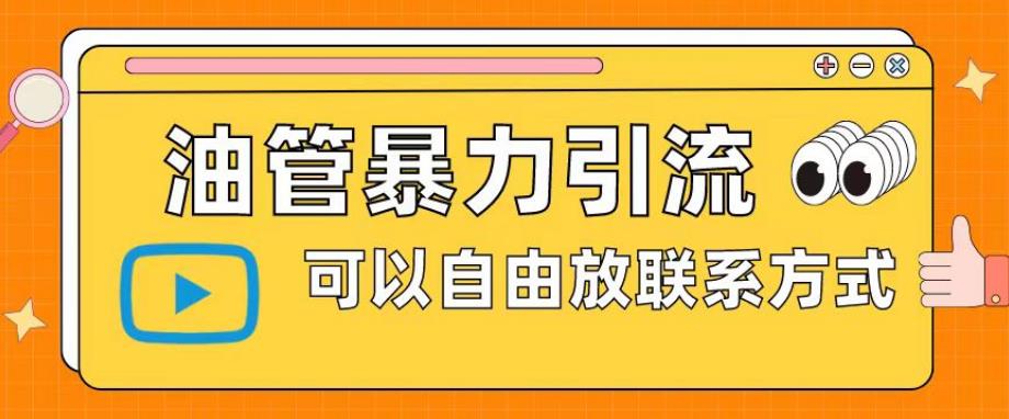 油管暴力引流，可以自由放联系方式【揭秘】-甬战资源库
