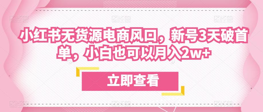 众狼电商余文小红书无货源电商风口，新号3天破首单，小白也可以月入2w+-甬战资源库