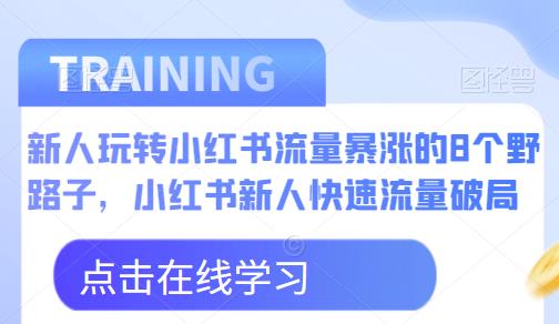 新人玩转小红书流量暴涨的8个野路子，小红书新人快速流量破局-甬战资源库
