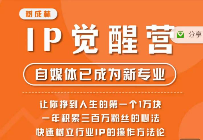 树成林·IP觉醒营，快速树立行业IP的操作方法论，让你赚到人生的第一个1万块（更新）-甬战资源库
