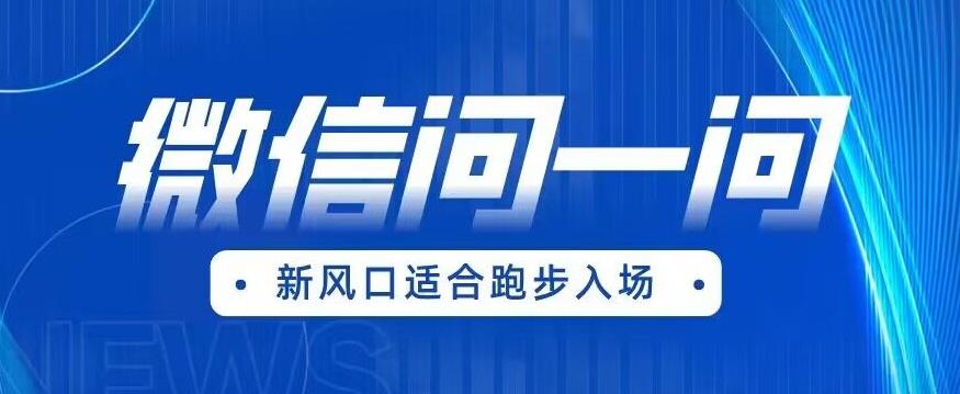 全网首发微信问一问新风口变现项目（价值1999元）【揭秘】-甬战资源库