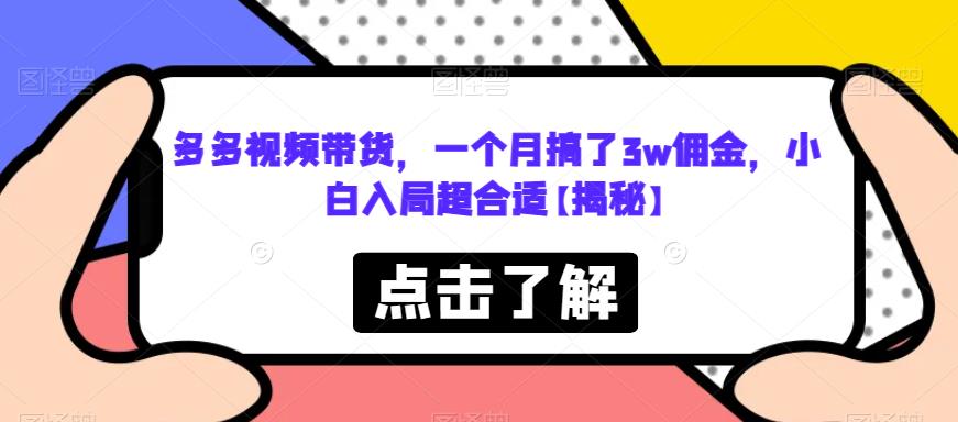 多多视频带货，一个月搞了3w佣金，小白入局超合适【揭秘】-甬战资源库