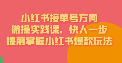 接单号方向·小红书微操实践课，快人一步，提前掌握小红书爆款玩法-甬战资源库