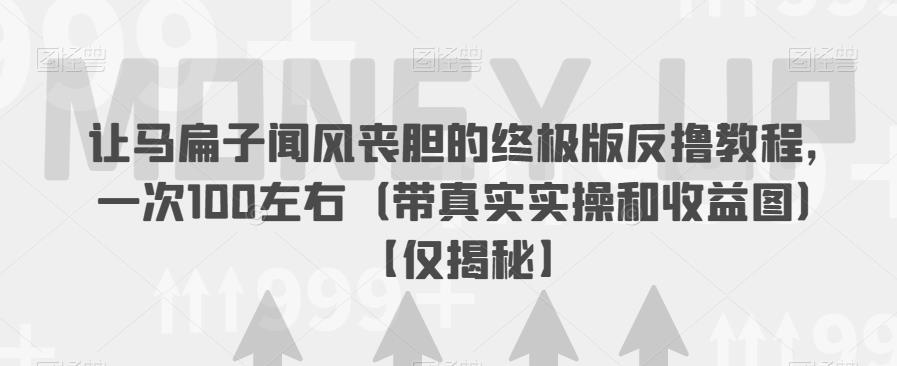 让马扁子闻风丧胆的终极版反撸教程，一次100左右（带真实实操和收益图）【仅揭秘】-甬战资源库